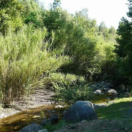 Il-Molino-Mono *